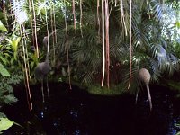 photos 2000-200902630